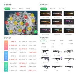 问答最新爆料视频大全集,揭秘热点事件背后的真相
